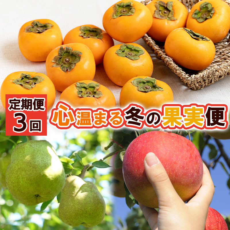 【定期便3回】心温まる冬の果実便【令和8年産先行予約】FS2