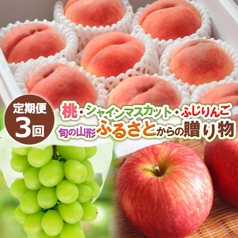 【定期便3回】桃・シャインマスカット・ふじりんご 旬の山