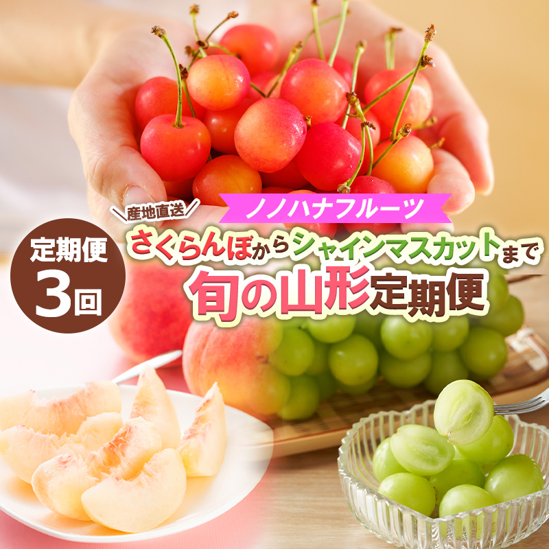 【定期便3回】ノノハナフルーツ さくらんぼからシャインマ