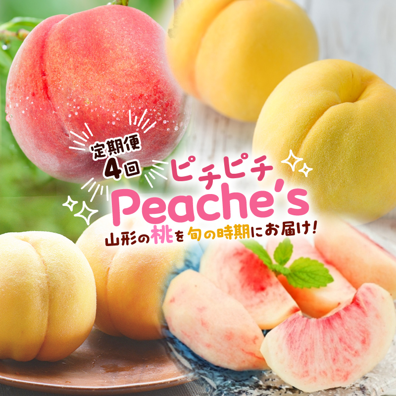 【定期便4回】ピチピチPeache's 【令和8年産先行予約】FS24-742