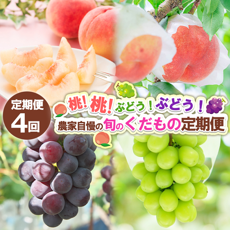 【定期便4回】桃！桃！ぶどう！ぶどう！農家自慢の旬のく