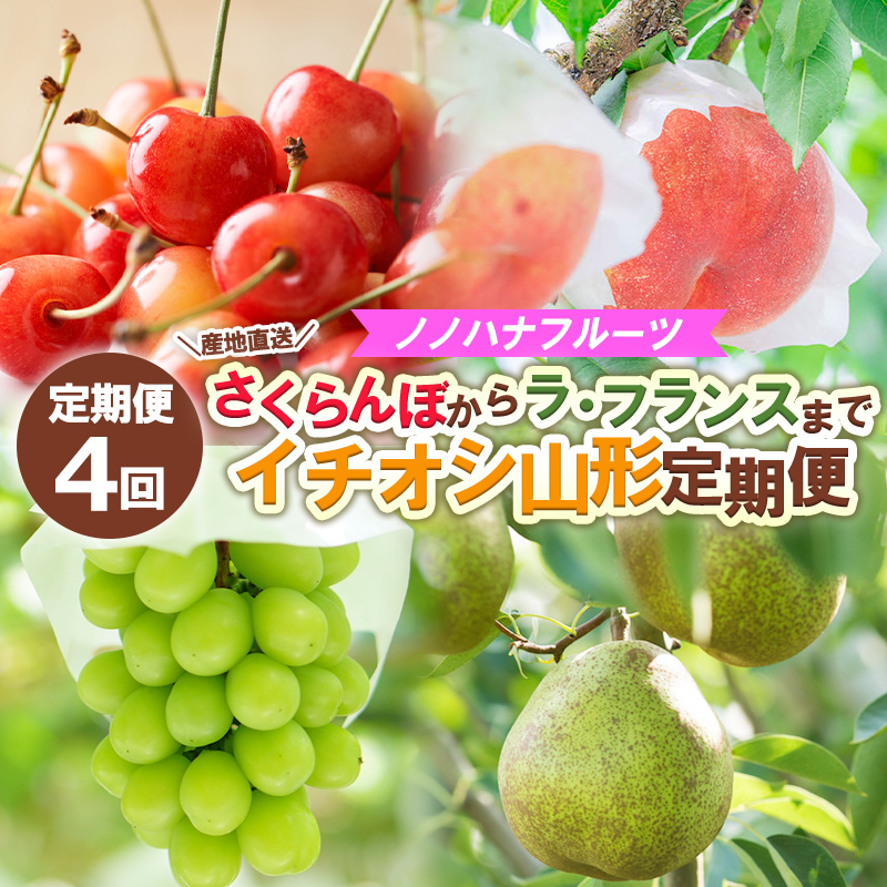 【定期便4回】ノノハナフルーツ さくらんぼからラ・フラン