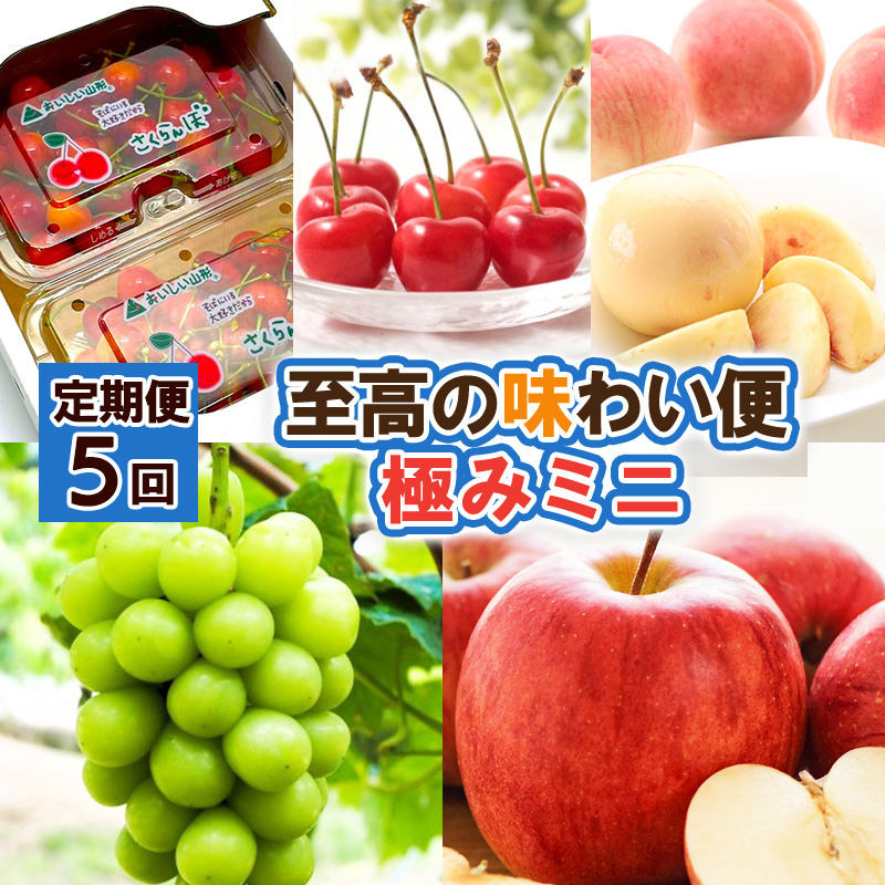 【定期便5回】至高の味わい便 極みミニ 【令和8年産先行予