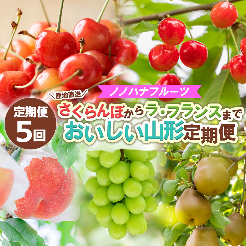 【定期便5回】ノノハナフルーツさくらんぼからラ・フラン