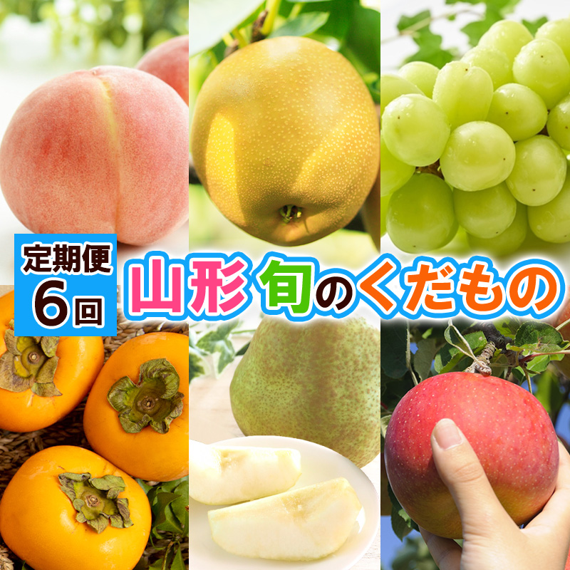 【定期便6回】山形 旬のくだもの 【令和8年産先行予約】FS24