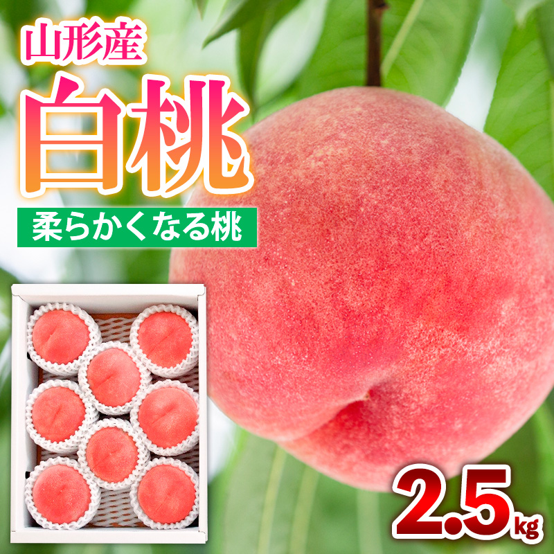 山形産 白桃  [柔らかくなる桃] 2.5kg(7～10玉) 秀品 品種おま
