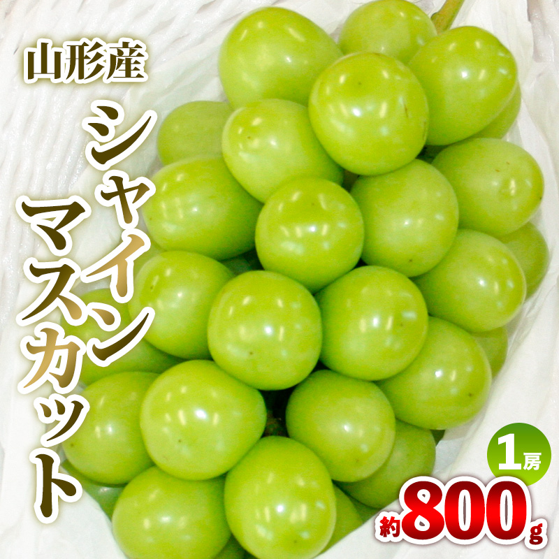 山形産 シャインマスカット 約800g 1房 秀品 【令和8年産先行