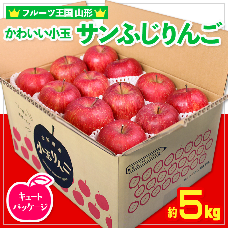 ☆フルーツ王国山形☆かわいい 小玉サンふじりんご 5kg 24玉