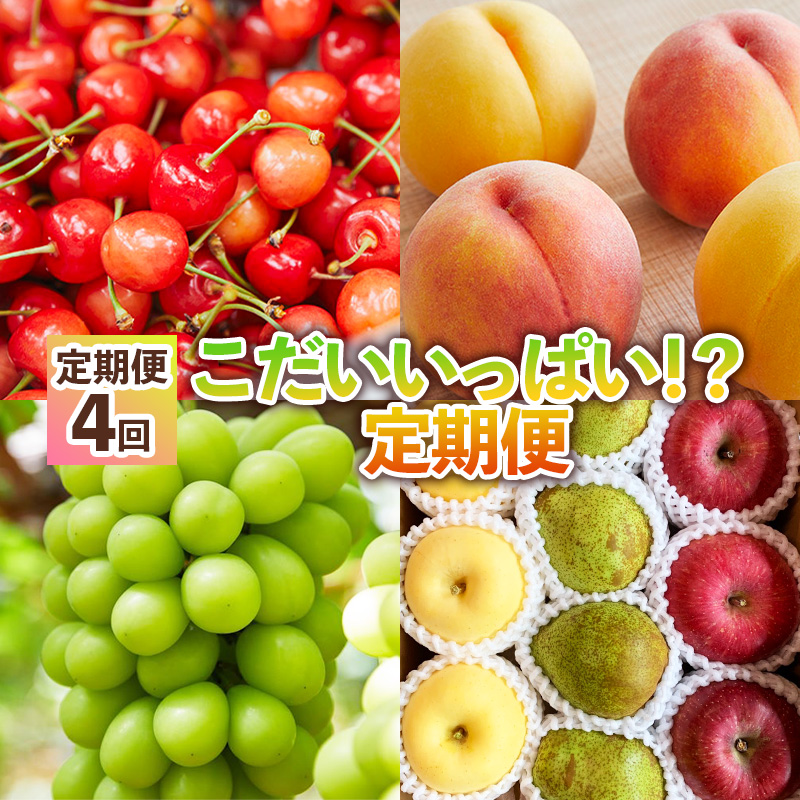 【定期便4回】こだいいっぱい！？ 定期便 【令和8年産先行