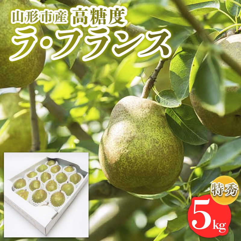山形市産【高糖度ラフランス】特秀品 5kg (10～18玉)  極上フ