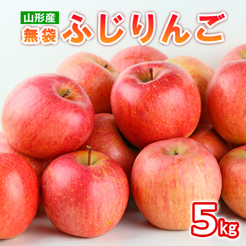 山形産 無袋 ふじりんご 秀5kg(13～20玉) FY25-012