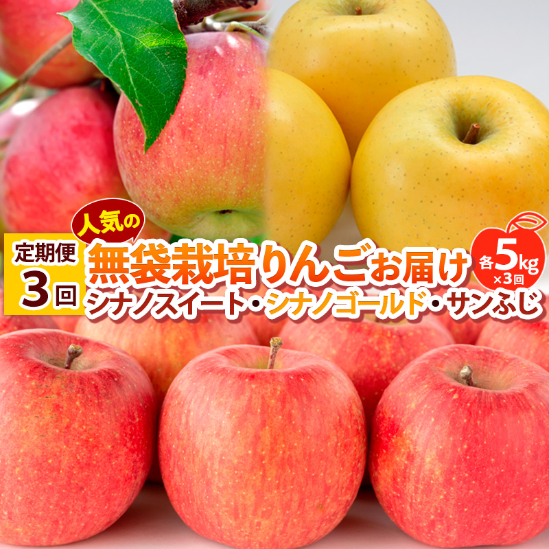 【定期便3回】 人気の無袋栽培りんごお届け 各5kg×3回(シナ