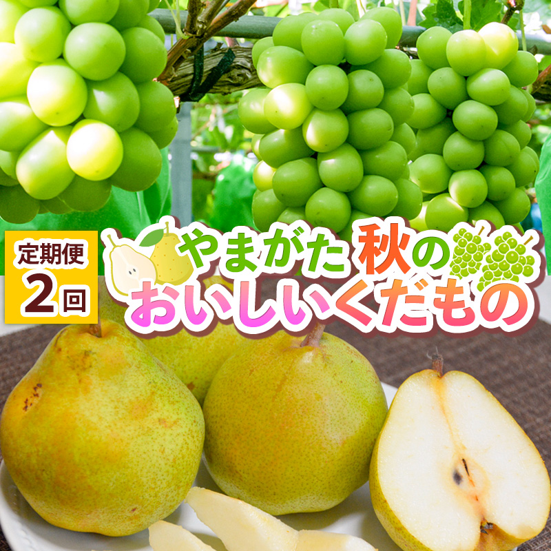 【定期便2回】 やまがた 秋のおいしいくだもの【令和8年産