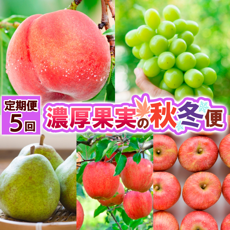 【定期便5回】濃厚果実の秋冬便 【令和8年産先行予約】FS25-