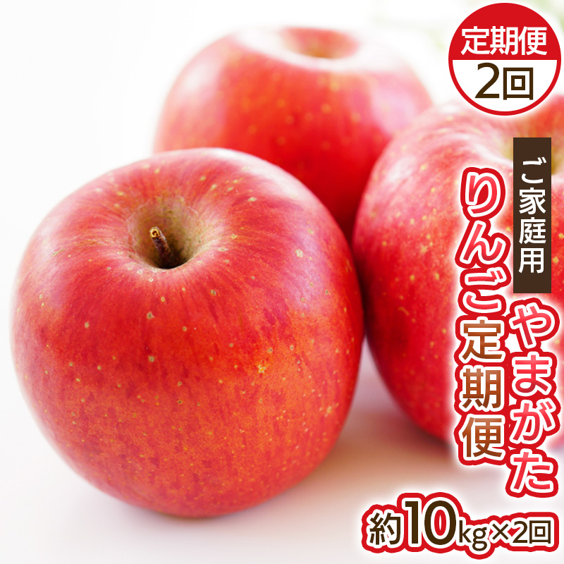 【定期便2回】ご家庭用 やまがたりんご定期便 FY25-037