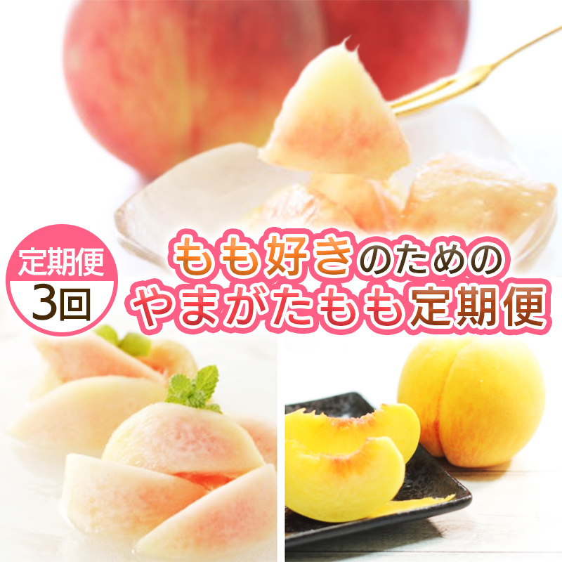 【定期便3回】もも好きのためのやまがたもも定期便 【令和