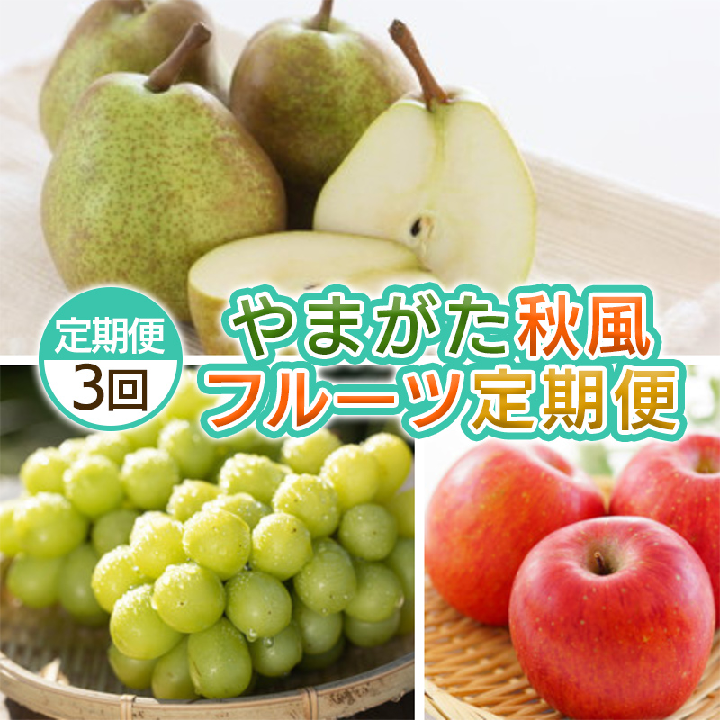 【定期便3回】やまがた 秋風フルーツ定期便 【令和8年産先