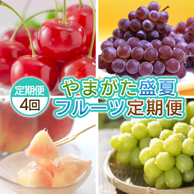 【定期便4回】やまがた 盛夏フルーツ定期便 【令和8年産先