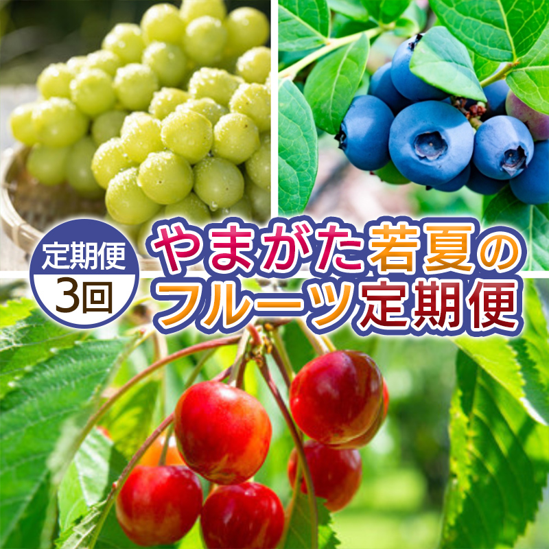 【定期便3回】やまがた 若夏のフルーツ定期便 【令和8年産