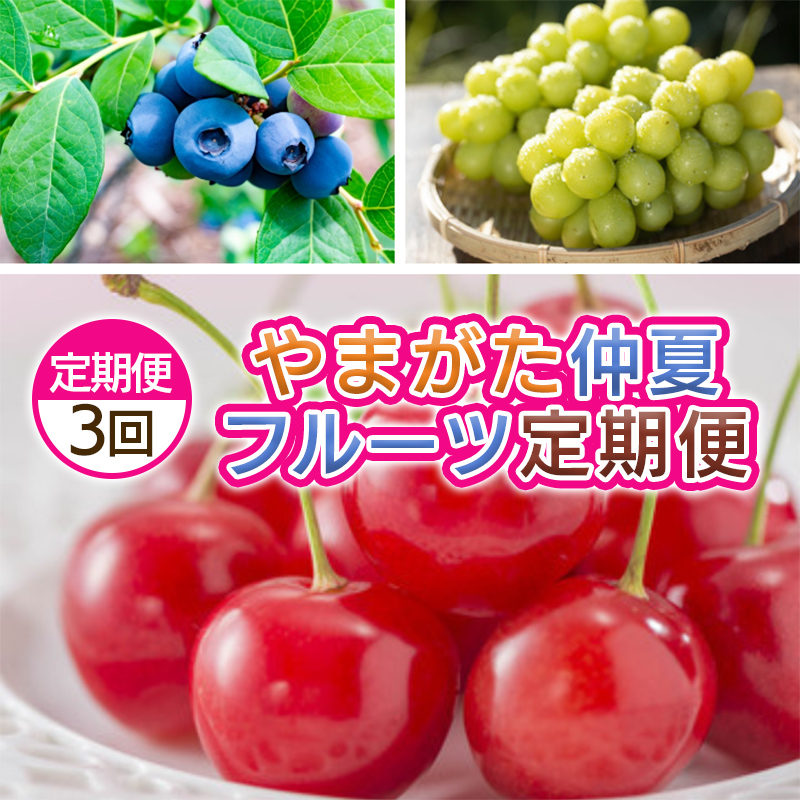 【定期便3回】やまがた　仲夏フルーツ定期便 【令和8年産