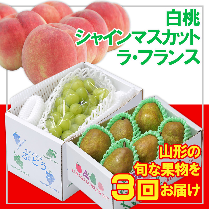 【定期便3回】☆フルーツ王国山形☆白桃・シャインマスカ