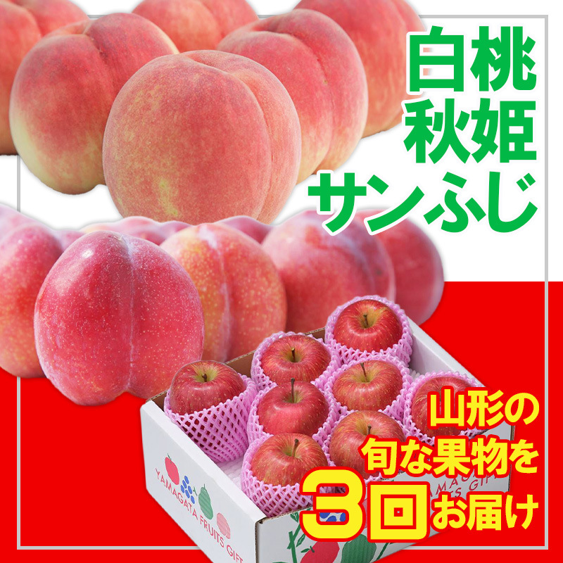 【定期便3回】☆フルーツ王国山形☆白桃・すもも秋姫・り