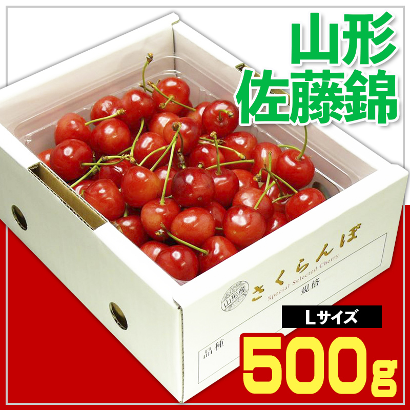 ☆山形さくらんぼ ☆ 佐藤錦 Lサイズ 500g バラ 化粧箱詰【令