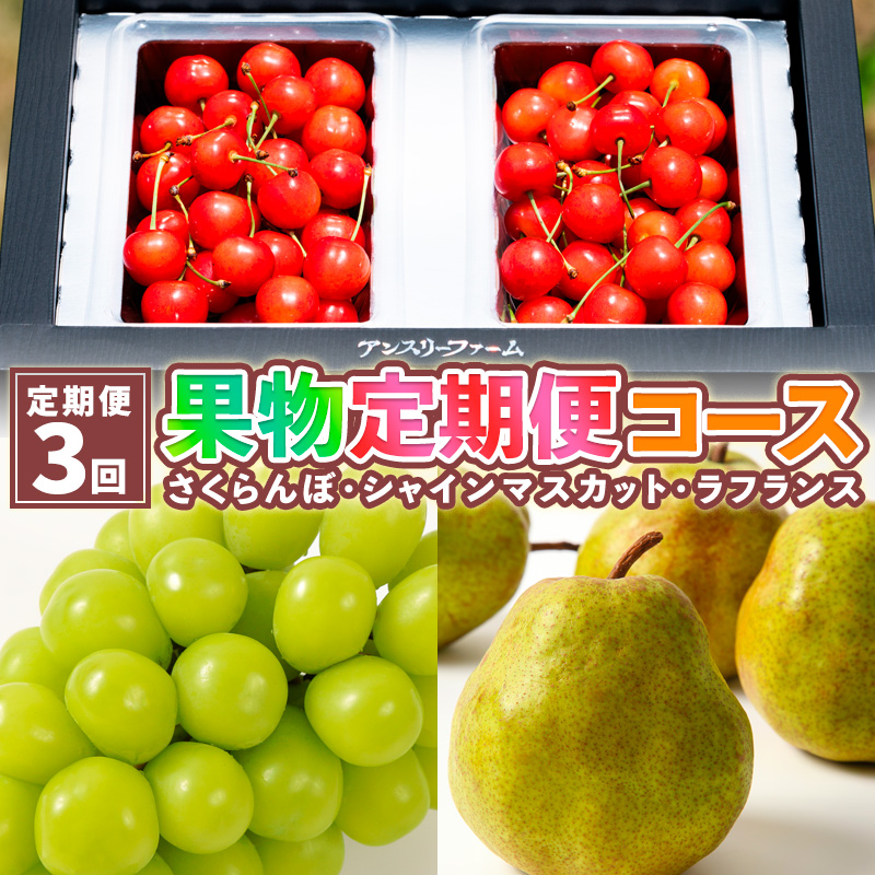 【定期便3回】果物定期便コース(さくらんぼ、シャインマス