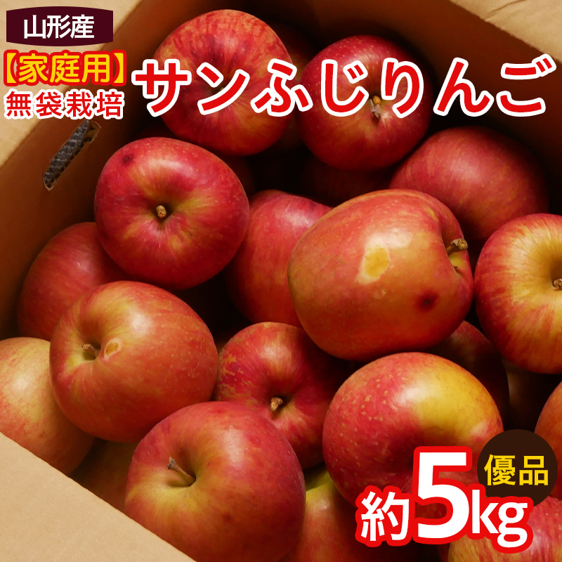 【家庭用】ふじりんご 優品 約5kg入り FY25-066