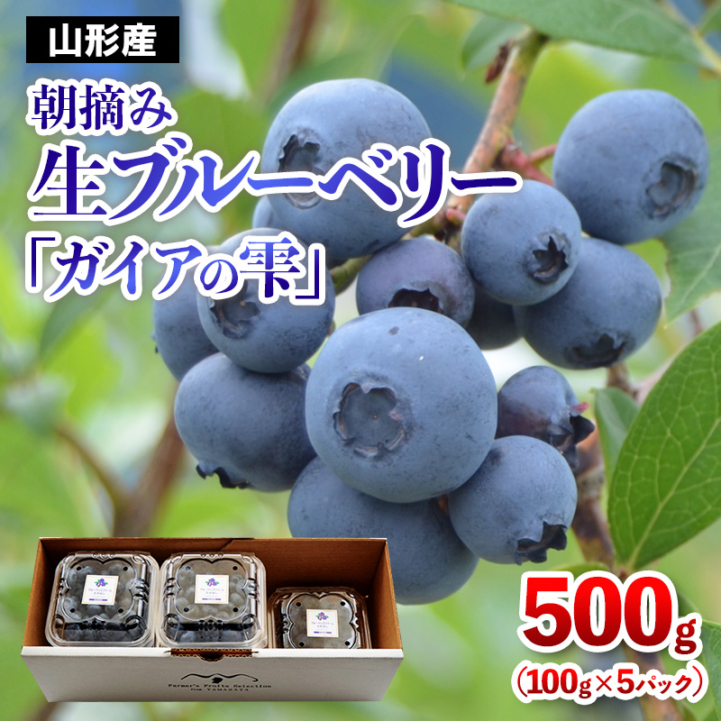 山形の朝摘み生ブルーベリー「ガイアの雫」500g(100g×5パッ