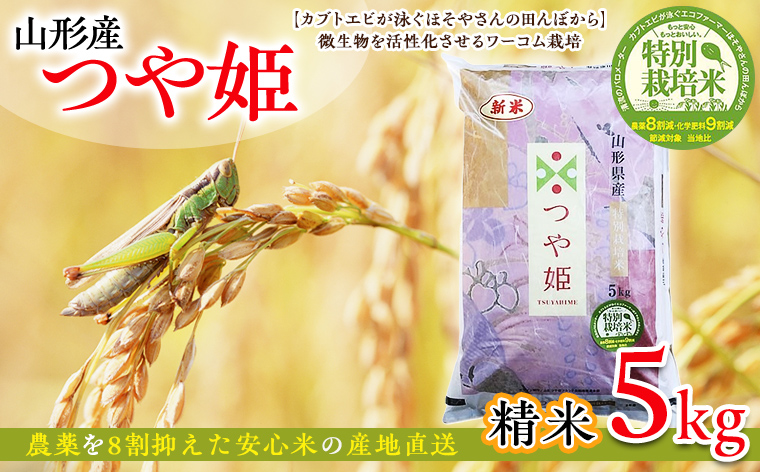 令和6年度産 山形産 「つや姫」5kg (精米) 特別栽培米 8割減