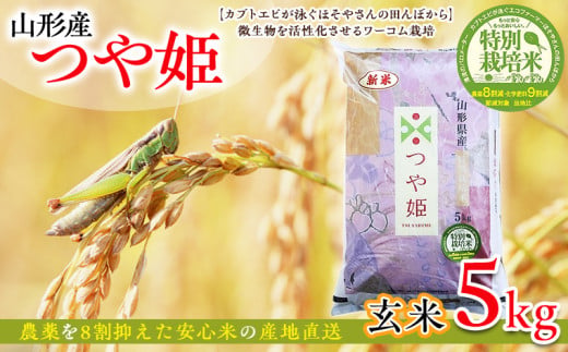 令和6年度産 山形産 「つや姫」5kg (玄米) 特別栽培米 8割減