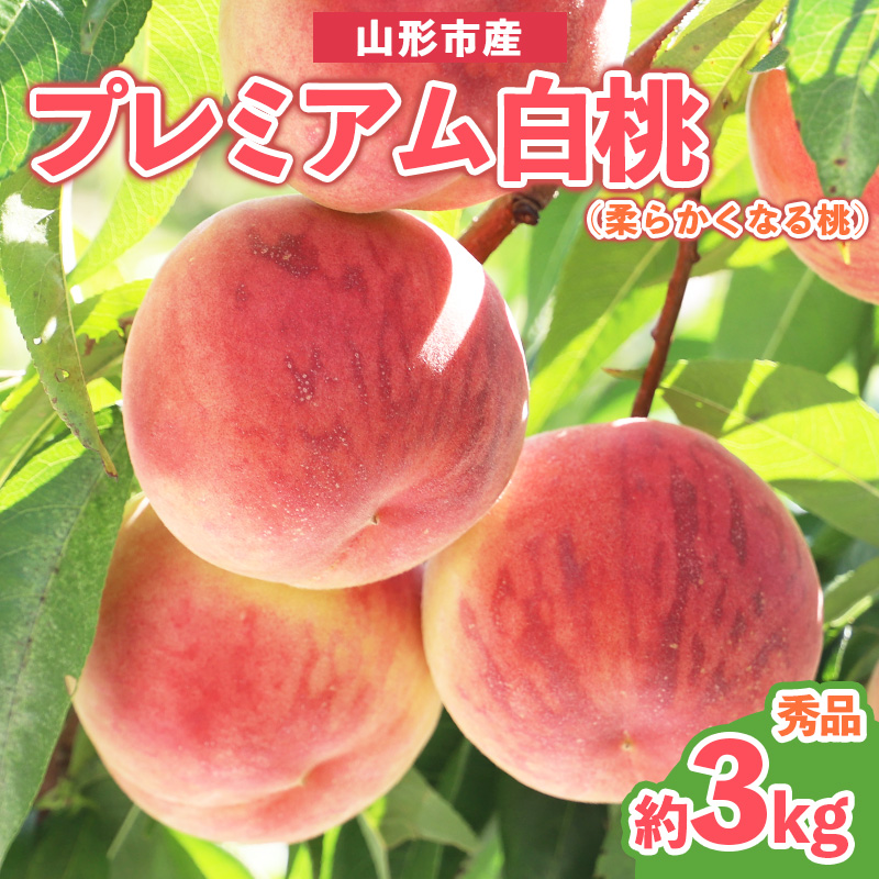 プレミアム白桃 秀品 約3kg (5～14玉) [柔らかくなる桃] 【令