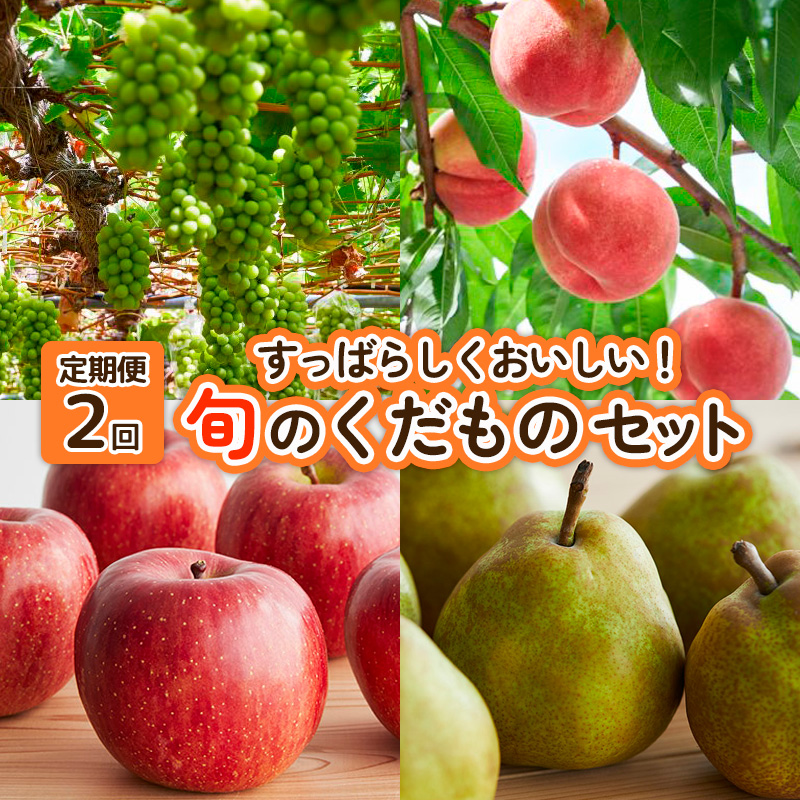 【定期便2回】すっばらしくおいしい！旬のくだものセット 
