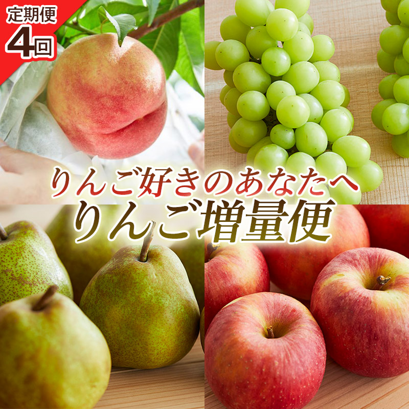 【定期便4回】りんご好きのあなたへ りんご増量便 FY25-221