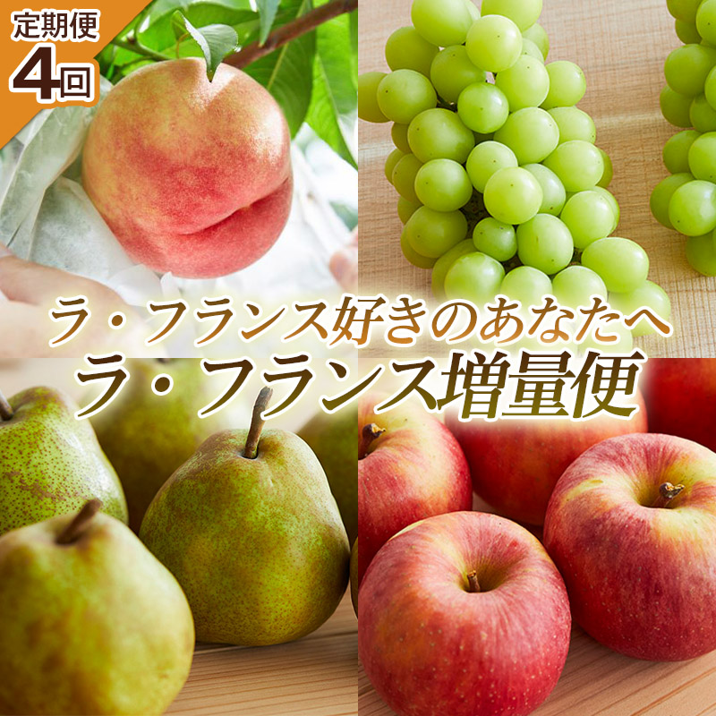 【定期便4回】ラ・フランス好きのあなたへ ラ・フランス増