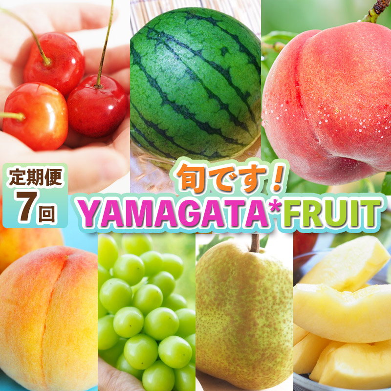 【定期便7回】旬です！YAMAGATA＊FRUIT FY25-285