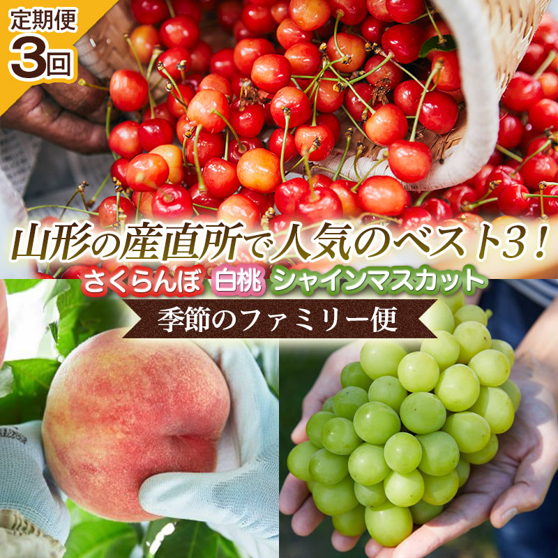 【定期便3回】山形の産直所で人気のベスト3！さくらんぼ・