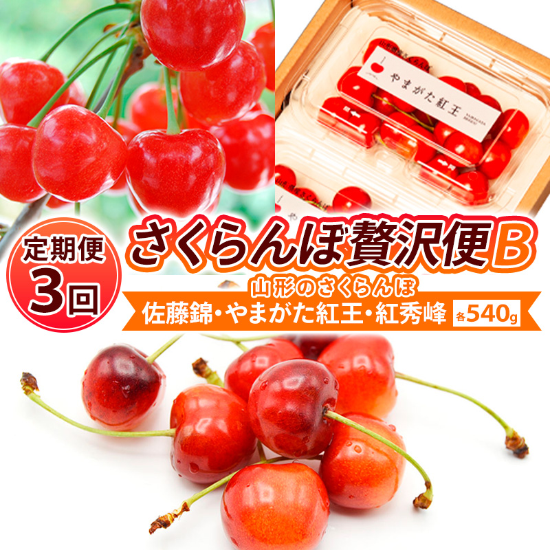 【定期便3回】【さくらんぼ贅沢便B】山形のさくらんぼ 佐