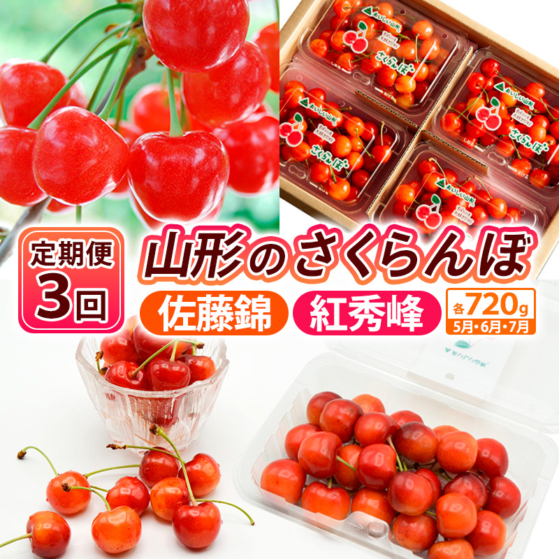 【定期便3回】【さくらんぼ定期便3回】山形のさくらんぼ 