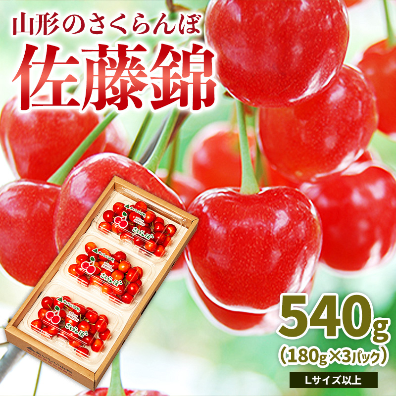 山形のさくらんぼ 佐藤錦 540g Lサイズ以上 (180g×3パック) 【