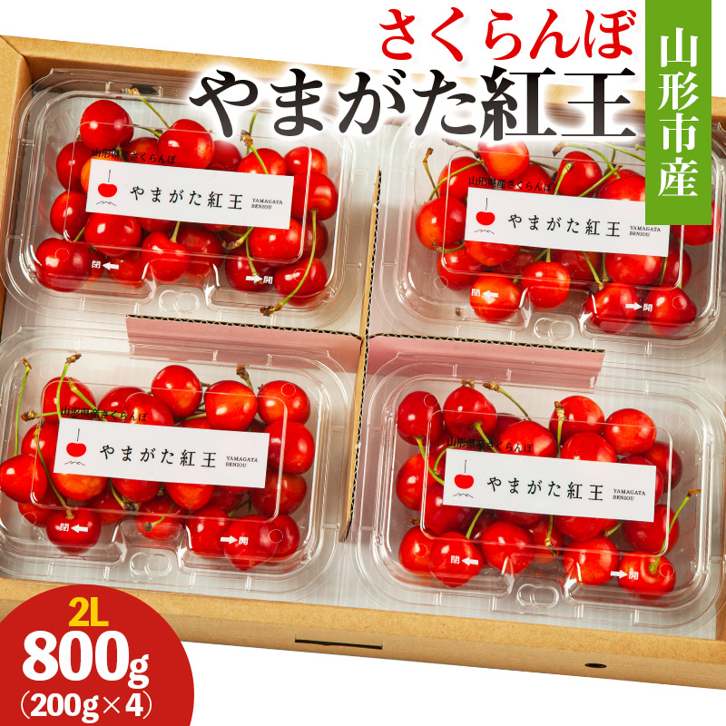 山形市産 さくらんぼ(やまがた紅王)2L 800g(200g×4) 【令和8年
