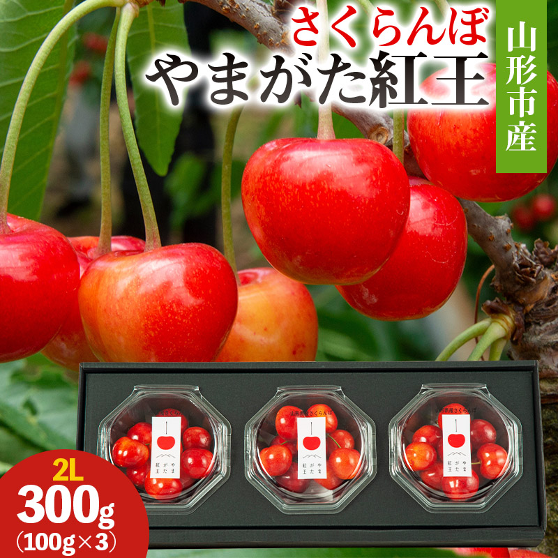 山形市産 さくらんぼ(やまがた紅王)2L 300g(100g×3) 【令和8年