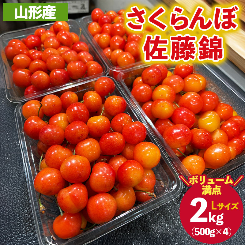 ご家庭みんなで楽しむ2kg！さくらんぼ 佐藤錦 Lサイズ 2kg (50