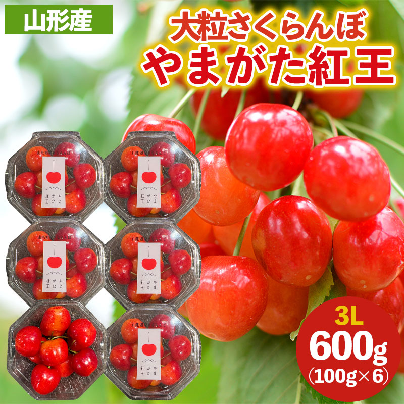 大粒のさくらんぼ「やまがた紅王」3Lサイズ 600g (100×６パッ