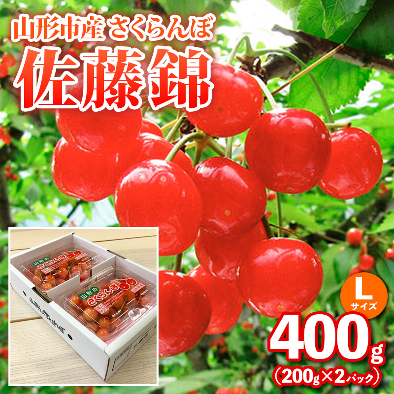 山形市産さくらんぼ【佐藤錦】Lサイズ 400g(200g×2パック) 【