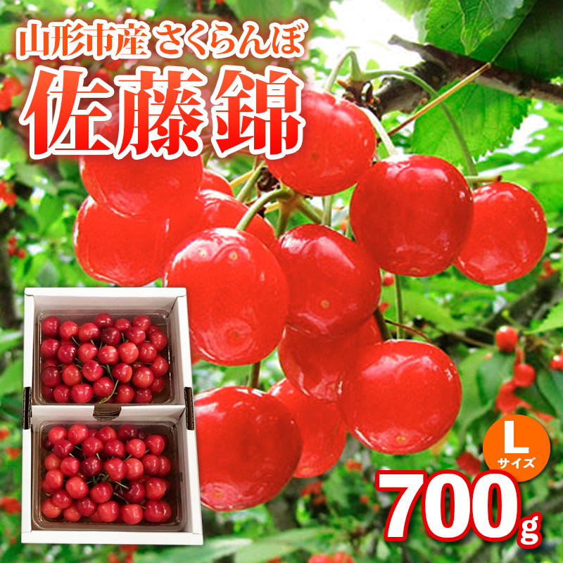 山形市産さくらんぼ【佐藤錦】Lサイズ 700g バラ詰め【令和8
