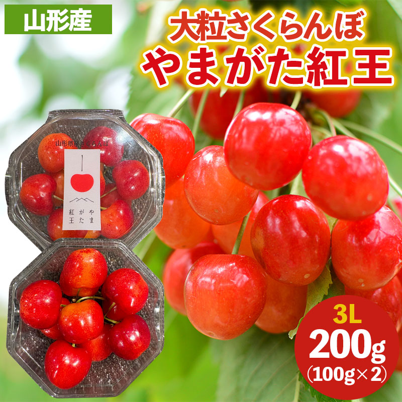 大粒のさくらんぼ やまがた紅王 3Lサイズ 200g (100g×2パック