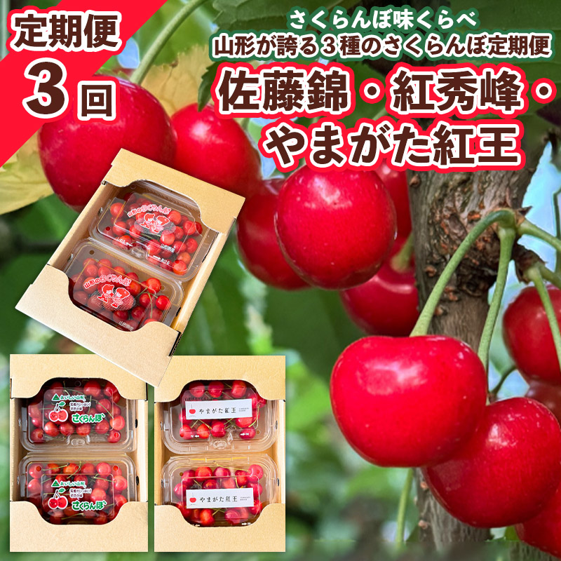 【定期便3回】さくらんぼ味くらべ 山形が誇る3種のさくら