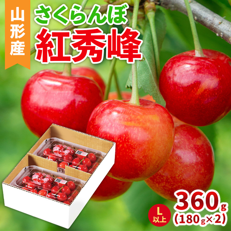 山形産 さくらんぼ(紅秀峰) L以上 360g(180g×2パック)  【令和8